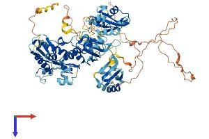 AlphaFold protein structure predicition of Human Recombinant ESRP2 Protein, UniprotID Q9H6T0