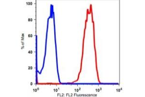 Image no. 2 for anti-Protein tyrosine Phosphatase, Receptor Type, C (PTPRC) antibody (PE) (ABIN2704285)