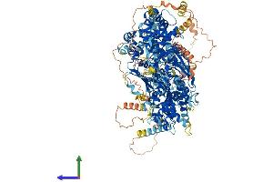 AlphaFold protein structure predicition of Mouse Recombinant Dennd5a Protein, UniprotID Q6PAL8