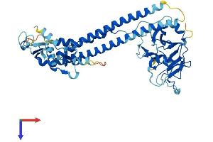 AlphaFold protein structure predicition of Human Recombinant TRIM68 Protein, UniprotID Q6AZZ1