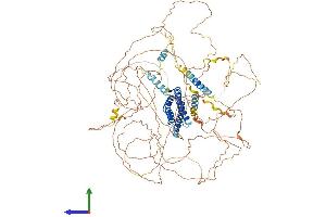 AlphaFold protein structure predicition of Mouse Recombinant Dlgap4 Protein, UniprotID B1AZP2