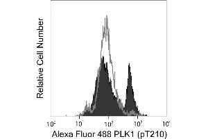Flow Cytometry (FACS) image for anti-Polo-Like Kinase 1 (PLK1) (pThr210) antibody (Alexa Fluor 488) (ABIN1177154) (PLK1 anticorps  (pThr210) (Alexa Fluor 488))