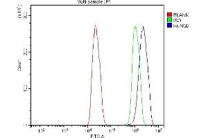 Flow Cytometry analysis of C6 cells using anti-KCNQ2 antibody (ABIN7601522).