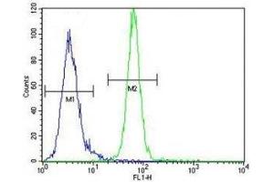 AKT1 antibody flow cytometric analysis of MDA-MB435 cells (right histogram) compared to a negative control (left histogram).