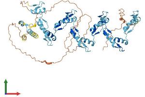 AlphaFold protein structure predicition of Human Recombinant ZNF543 Protein, UniprotID Q08ER8
