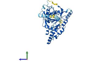 AlphaFold protein structure predicition of Human Recombinant B3GNT5 Protein, UniprotID Q9BYG0