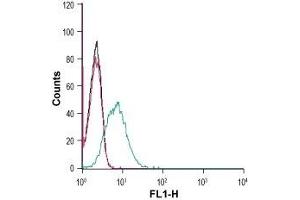 Cell surface detection of Corticotropin-releasing factor receptor 2 in live intact HL-60 (human promyelocytic leukemia) cells: (black line) Cells.