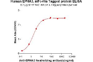 ELISA plate pre-coated by 2 μg/mL (100 μL/well) Human EPHA3, mFc-His tagged protein (ABIN6961115) can bind Anti-EPHA3 Neutralizing antibody in a linear range of 0. (EPH Receptor A3 Protein (EPHA3) (mFc-His Tag))