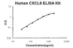 Human CXCL6/GCP2 PicoKine ELISA Kit standard curve (CXCL6 Kit ELISA)