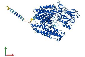 AlphaFold protein structure predicition of Human Recombinant NAALAD2 Protein, UniprotID Q9Y3Q0