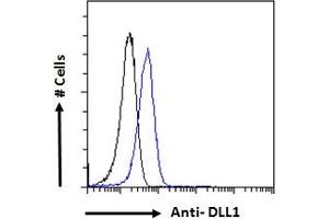 ABIN361190 Flow cytometric analysis of paraformaldehyde fixed HeLa cells (blue line), permeabilized with 0. (DLL1 anticorps  (Internal Region))