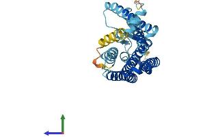 AlphaFold protein structure predicition of Human Recombinant OR6B2 Protein, UniprotID Q6IFH4