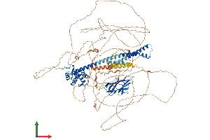 AlphaFold protein structure predicition of Human Recombinant CAPRIN2 Protein, UniprotID Q6IMN6