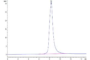 The purity of Mouse RANKL is greater than 95 % as determined by SEC-HPLC.