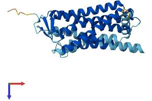 AlphaFold protein structure predicition of Human Recombinant OR4D1 Protein, UniprotID Q15615
