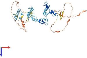 AlphaFold protein structure predicition of Human Recombinant ZNF621 Protein, UniprotID Q6ZSS3
