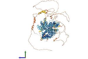 AlphaFold protein structure predicition of Human Recombinant SLC4A2 Protein, UniprotID P04920