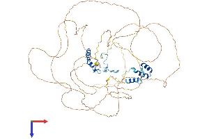 AlphaFold protein structure predicition of Human Recombinant NOLC1 Protein, UniprotID Q14978