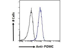 ABIN185387 Flow cytometric analysis of paraformaldehyde fixed A431 cells (blue line), permeabilized with 0.
