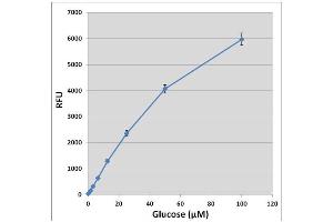 Glucose standard curve.