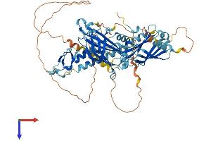AlphaFold protein structure predicition of Mouse Recombinant Sytl3 Protein, UniprotID Q99N48