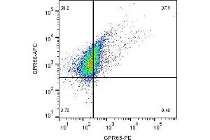 Multicolor flow cytometry with GPR68 and GPR65Human  monocytic leukemia cell line was labeled by adding Anti-GPR68 (OGR1) (extracellular)-APC Antibody (ABIN7582036), (5 μg) and Anti-GPR65 (TDAG8) (extracellular)-PE Antibody (ABIN7043169, ABIN7045545, ABIN7045546 and ABIN7045547), (5 μg)