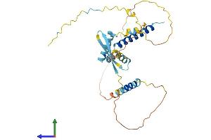 AlphaFold protein structure predicition of Mouse Recombinant Cfdp1 Protein, UniprotID O88271
