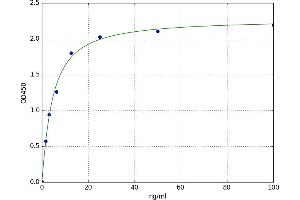 Defensin, alpha 5, Paneth Cell-Specific (DEFA5) ELISA Kit