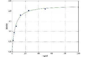 A typical standard curve (DEFA5 Kit ELISA)