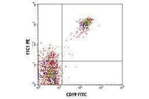 Flow Cytometry (FACS) image for anti-Tumor Necrosis Factor Receptor Superfamily, Member 13C (TNFRSF13C) antibody (PE) (ABIN2663252)