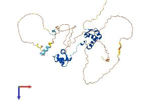 AlphaFold protein structure predicition of Human Recombinant PAX5 Protein, UniprotID Q02548