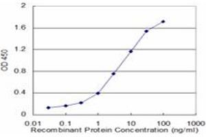 Detection limit for recombinant GST tagged HPD is approximately 0. (HPD anticorps  (AA 160-269))