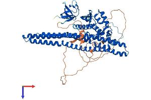 AlphaFold protein structure predicition of Human Recombinant SNX9 Protein, UniprotID Q9Y5X1