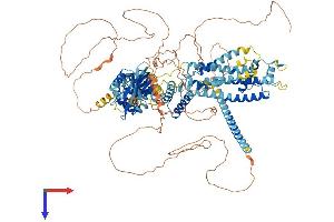 AlphaFold protein structure predicition of Mouse Recombinant Kcnh8 Protein, UniprotID P59111
