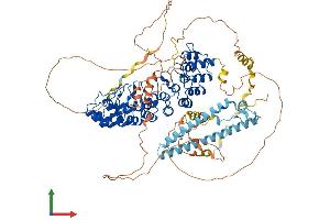 AlphaFold protein structure predicition of Human Recombinant ESPN Protein, UniprotID B1AK53