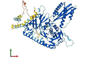 AlphaFold protein structure predicition of Mouse Recombinant Cep76 Protein, UniprotID Q0VEJ0