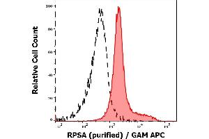 Separation of MOLT-4 cells stained using anti-RPSA (RP-01) purified antibody (concentration in sample 9 μg/mL, GAM APC, red-filled) from MOLT-4 unstained by primary antibody (GAM APC, black-dashed) in flow cytometry analysis (intracellular staining). (RPSA/Laminin Receptor anticorps)