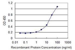 Detection limit for recombinant GST tagged HSF2BP is 0.
