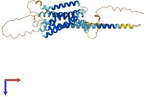 AlphaFold protein structure predicition of Human Recombinant GPR22 Protein, UniprotID Q99680