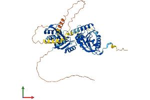 AlphaFold protein structure predicition of Mouse Recombinant Thumpd3 Protein, UniprotID P97770