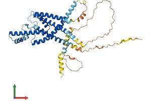 AlphaFold protein structure predicition of Human Recombinant KCNK12 Protein, UniprotID Q9HB15