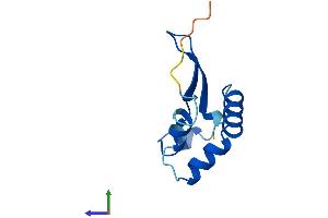 AlphaFold protein structure predicition of Mouse Recombinant Cnpy1 Protein, UniprotID Q4VAB4