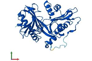 AlphaFold protein structure predicition of Human Recombinant GLYAT Protein, UniprotID Q6IB77