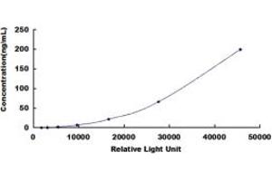 ELISA image for Myoglobin (MB) CLIA Kit (ABIN492001)