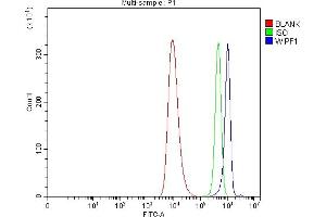 Flow Cytometry analysis of HEL cells using anti-WIPF1 antibody (ABIN7602942). (WIPF1 anticorps  (C-Term))