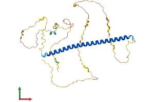 AlphaFold protein structure predicition of Mouse Recombinant Fosl2 Protein, UniprotID P47930