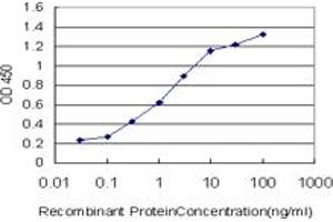 Detection limit for recombinant GST tagged ULK2 is approximately 0. (ULK2 anticorps  (AA 743-843))