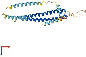 AlphaFold protein structure predicition of Mouse Recombinant Chmp2a Protein, UniprotID Q9DB34