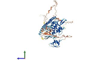 AlphaFold protein structure predicition of Human Recombinant SNX18 Protein, UniprotID Q96RF0