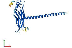 AlphaFold protein structure predicition of Human Recombinant YEATS4 Protein, UniprotID O95619